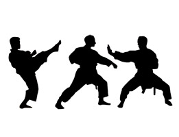 karate.jpg (8 KB)